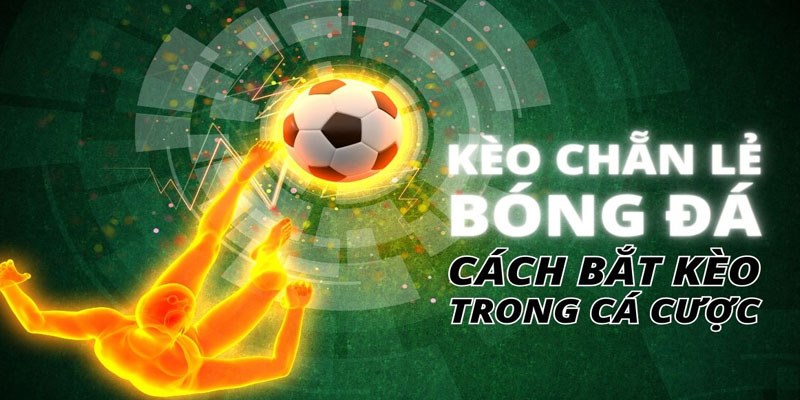 Kèo Chẵn Lẻ RR88 Là Gì? Luật Đánh Even/Odd Cho Người Mới Cách dự đoán E/O ở nhà cái uy tín
